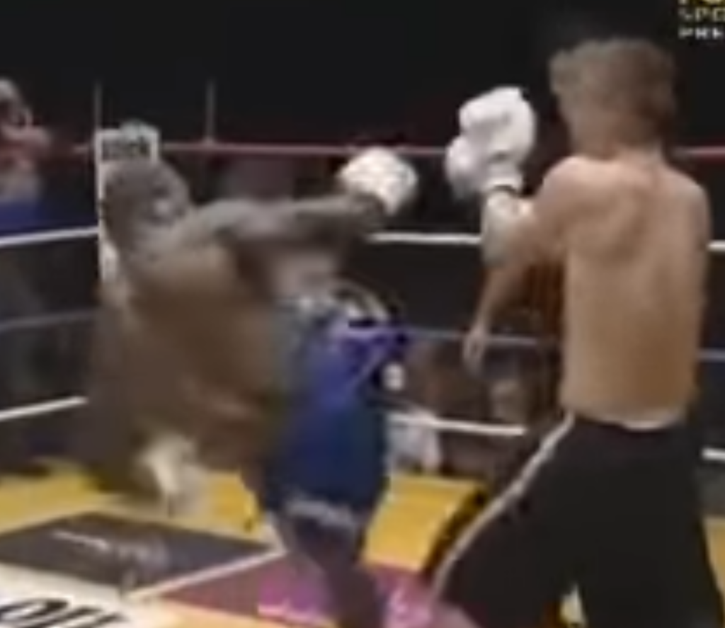 Kickboxer Stanley Nandex spins and launches a heel kick for his opponent's head.