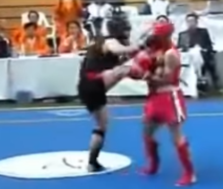 Sanshou competitor punches opponent that is holding his leg, causing him to teeter over.