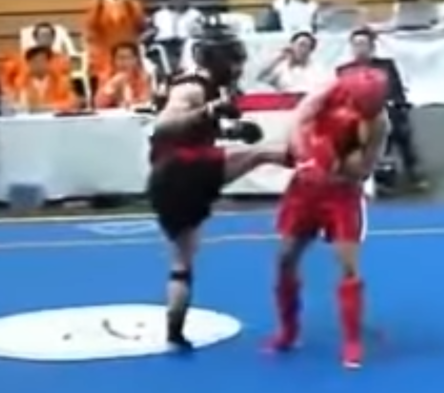 Sanshou competitor punches opponent that is holding his leg.