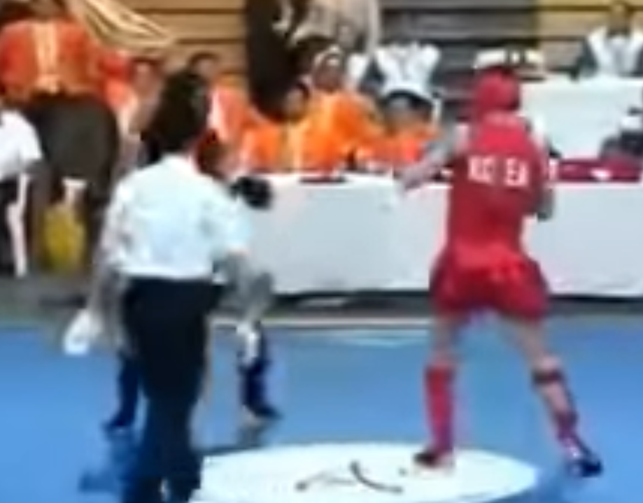 Sanshou competitors square up 