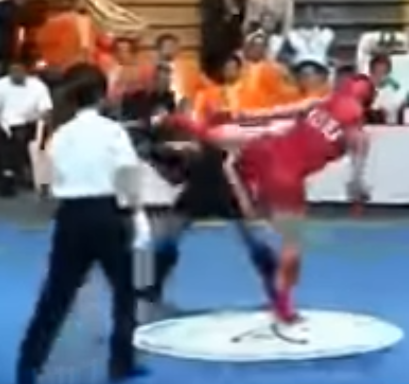Sanshou competitor lands a side kick to the face, knocking out opponent.