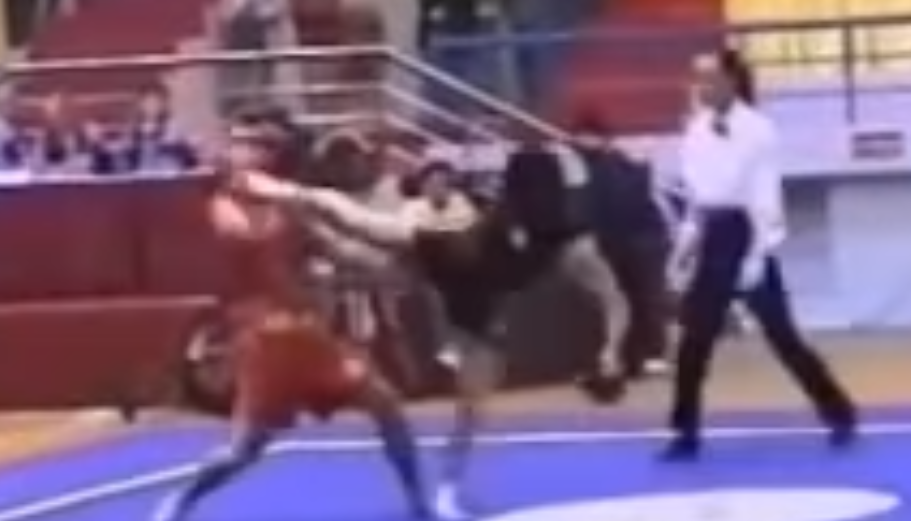 Sanshou competitor lands a side kick to face of opponent in competition, knocking him out.