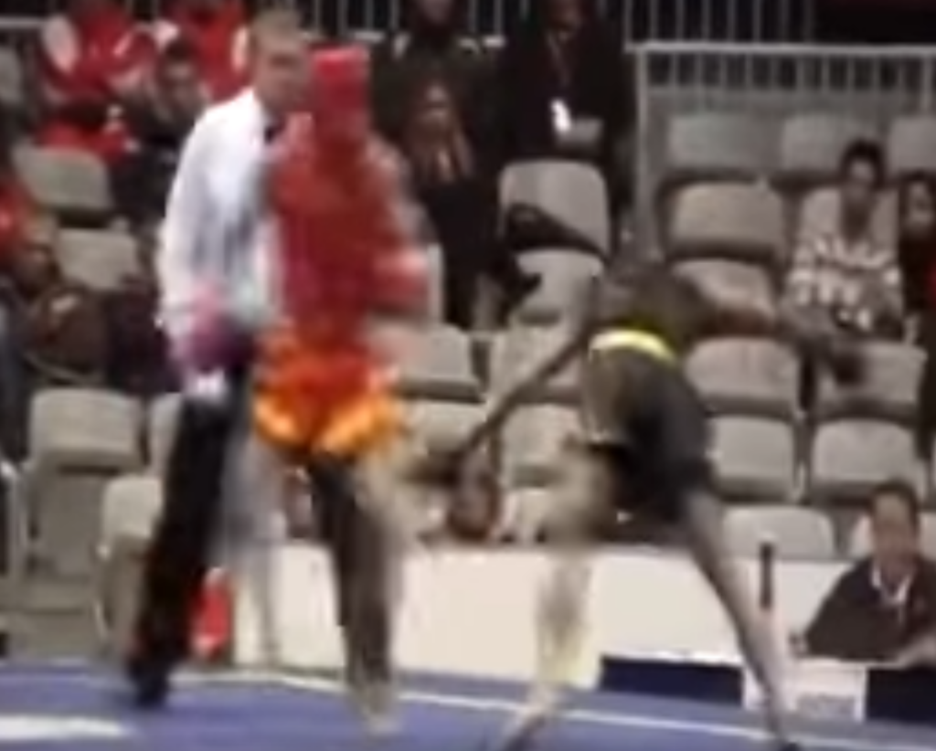 Sanshou competitor falls over after being kicked in the face. 