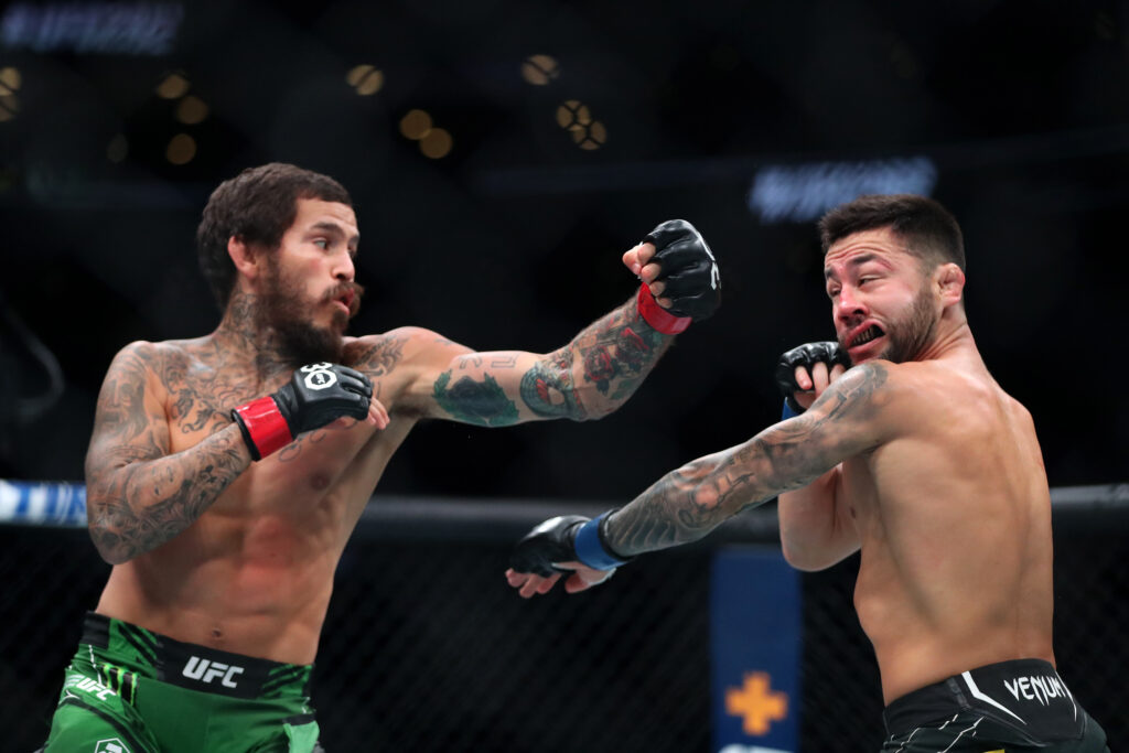 UFC 292: Sterling v O'Malley