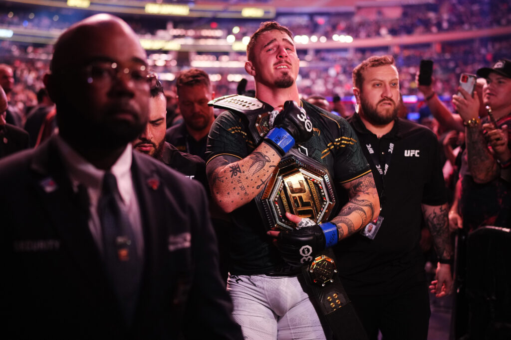 UFC 295: Prochazka v Pereira